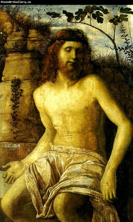 Giovanni Bellini den tornekronte kristus